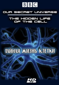 Постер фильма: Внутренняя вселенная: Тайная жизнь клетки