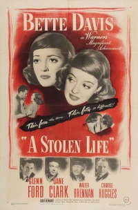 Постер фильма: Украденная жизнь