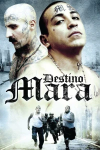 Постер фильма: Destino Mara