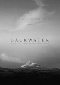 Постер фильма: Backwater