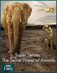 Постер фильма: Уникальные способности животных