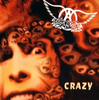 Постер фильма: Aerosmith: Crazy