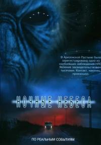 Постер фильма: Ночные небеса