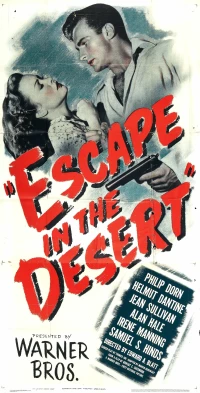 Постер фильма: Escape in the Desert