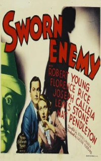 Постер фильма: Заклятый враг