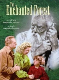 Постер фильма: The Enchanted Forest