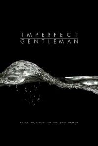 Постер фильма: Imperfect Gentleman