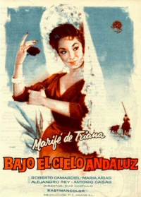 Постер фильма: Под андалусским небом