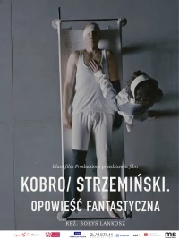 Постер фильма: Кобро / Стржеминский. Фантастическая история
