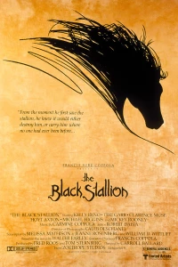 Постер фильма: Черный скакун