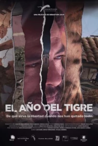 Постер фильма: Год тигра