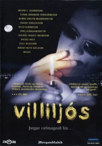 Постер фильма: Villiljós