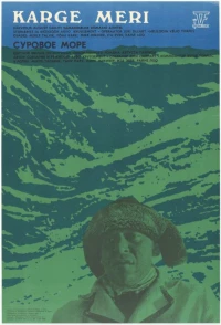 Постер фильма: Суровое море