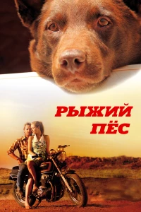 Постер фильма: Рыжий пес