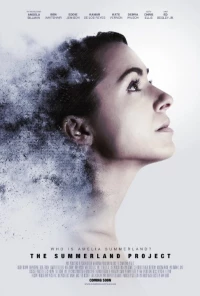 Постер фильма: Амелия 2.0