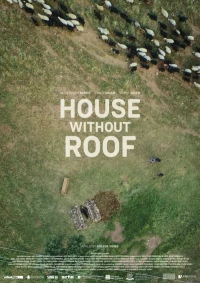 Постер фильма: Дом без крыши