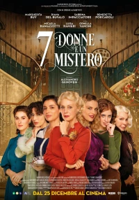 Постер фильма: 7 женщин и одна тайна