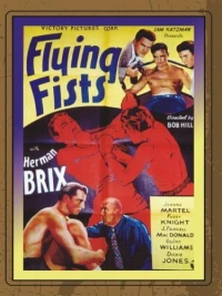 Постер фильма: Flying Fists