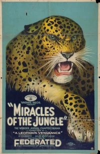 Постер фильма: Miracles of the Jungle