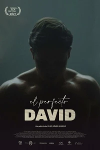 Постер фильма: El perfecto David