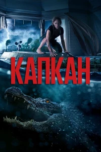 Постер фильма: Капкан