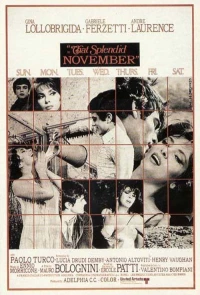 Постер фильма: Прекрасный ноябрь