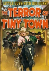Постер фильма: The Terror of Tiny Town