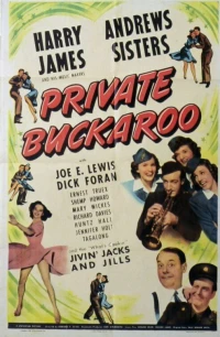 Постер фильма: Private Buckaroo