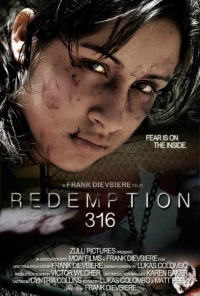 Постер фильма: Redemption 316