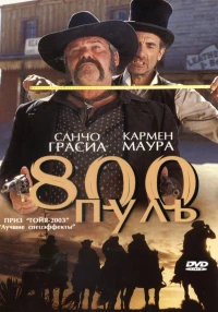 Постер фильма: 800 пуль