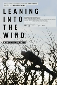 Постер фильма: Leaning Into the Wind: Andy Goldsworthy