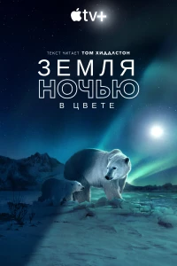 Постер фильма: Земля ночью в цвете