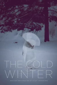 Постер фильма: The Cold Winter