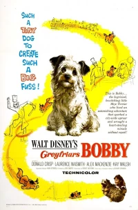 Постер фильма: Бобби из Грейфраерса: Правдивая история