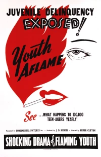 Постер фильма: Youth Aflame