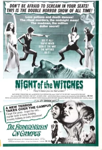 Постер фильма: Night of the Witches