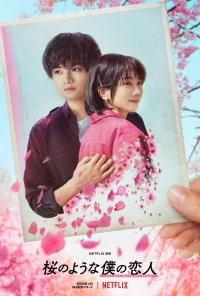 Постер фильма: Моя любимая словно цветок сакуры