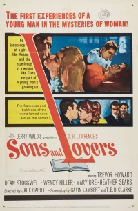 Постер фильма: Сыновья и любовники