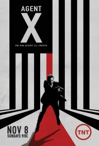Постер фильма: Агент Икс