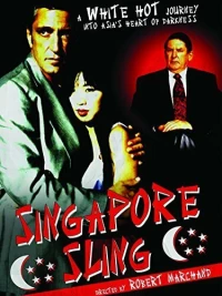 Постер фильма: Сингапурская петля