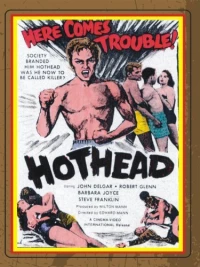 Постер фильма: Hothead