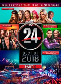 Постер фильма: WWE 24