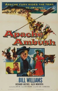 Постер фильма: Засада апачи