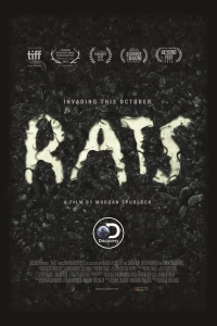 Постер фильма: Крысы