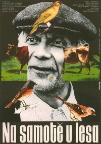 Постер фильма: На хуторе у леса