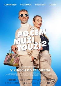 Постер фильма: Po cem muzi touzí 2