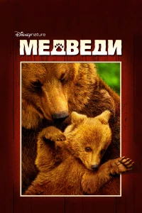 Постер фильма: Медведи