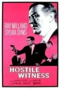 Постер фильма: Hostile Witness