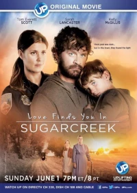 Постер фильма: Love Finds You in Sugarcreek