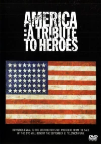 Постер фильма: Америка: Дань героям